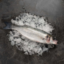 Load image into Gallery viewer, Bass - Fish To Your Door