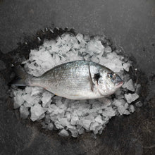 Load image into Gallery viewer, Gilt Head Bream 400-600 - Fish To Your Door