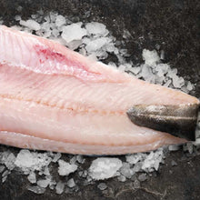 Load image into Gallery viewer, Coley - Fish To Your Door