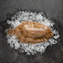 Load image into Gallery viewer, Lemonsole - Fish To Your Door