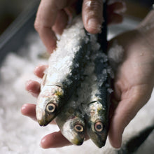 Load image into Gallery viewer, Sardines - Fish To Your Door