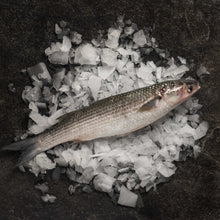 Load image into Gallery viewer, Grey Mullet - Fish To Your Door