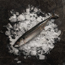 Load image into Gallery viewer, Mackerel - Fish To Your Door