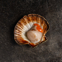 Load image into Gallery viewer, King Scallops - Fish To Your Door
