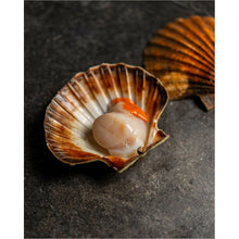 Load image into Gallery viewer, King Scallops - Fish To Your Door