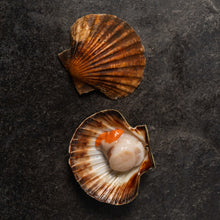 Load image into Gallery viewer, King Scallops - Fish To Your Door