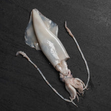 Load image into Gallery viewer, Squid - Fish To Your Door