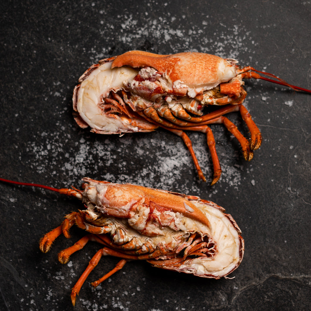 Half Cooked Lobster – MCB Fish Shop