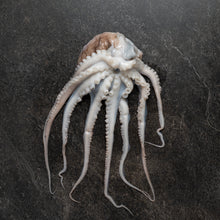 Load image into Gallery viewer, Octopus - Fish To Your Door
