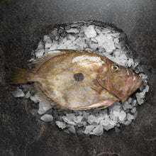 Load image into Gallery viewer, John Dory - Fish To Your Door

