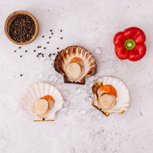 Load image into Gallery viewer, King Scallops - Fish To Your Door
