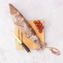 Load image into Gallery viewer, Squid - Fish To Your Door
