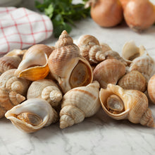 Load image into Gallery viewer, Whelks in Shell - Fish To Your Door
