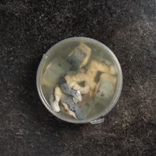 Load image into Gallery viewer, Jellied Eeels - Fish To Your Door
