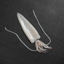 Load image into Gallery viewer, Squid - Fish To Your Door
