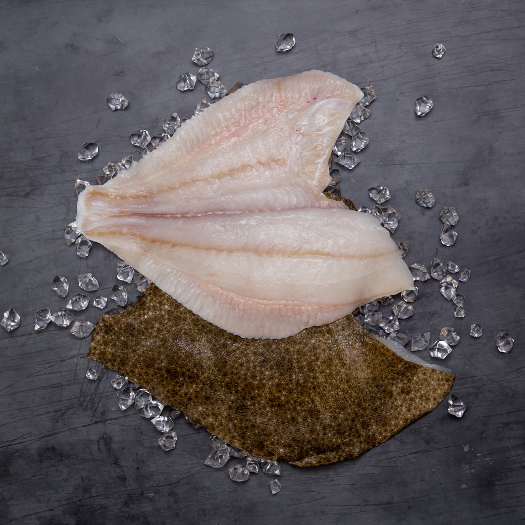 Turbot Fillet – MCB Fish Shop