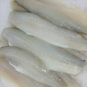 Whiting Fillet